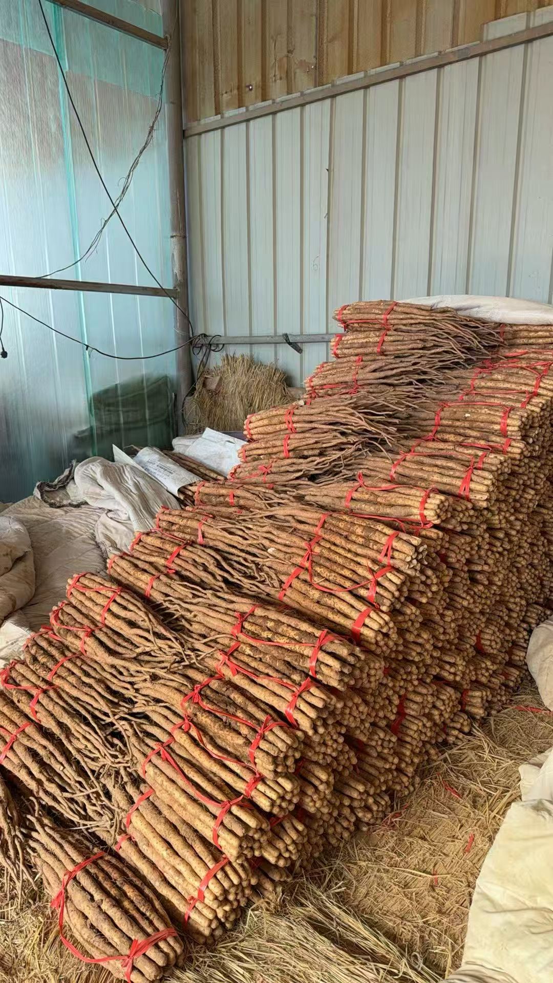 微信图片_20260202230619_84_14